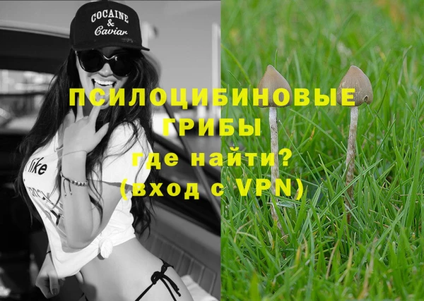 герыч Козловка